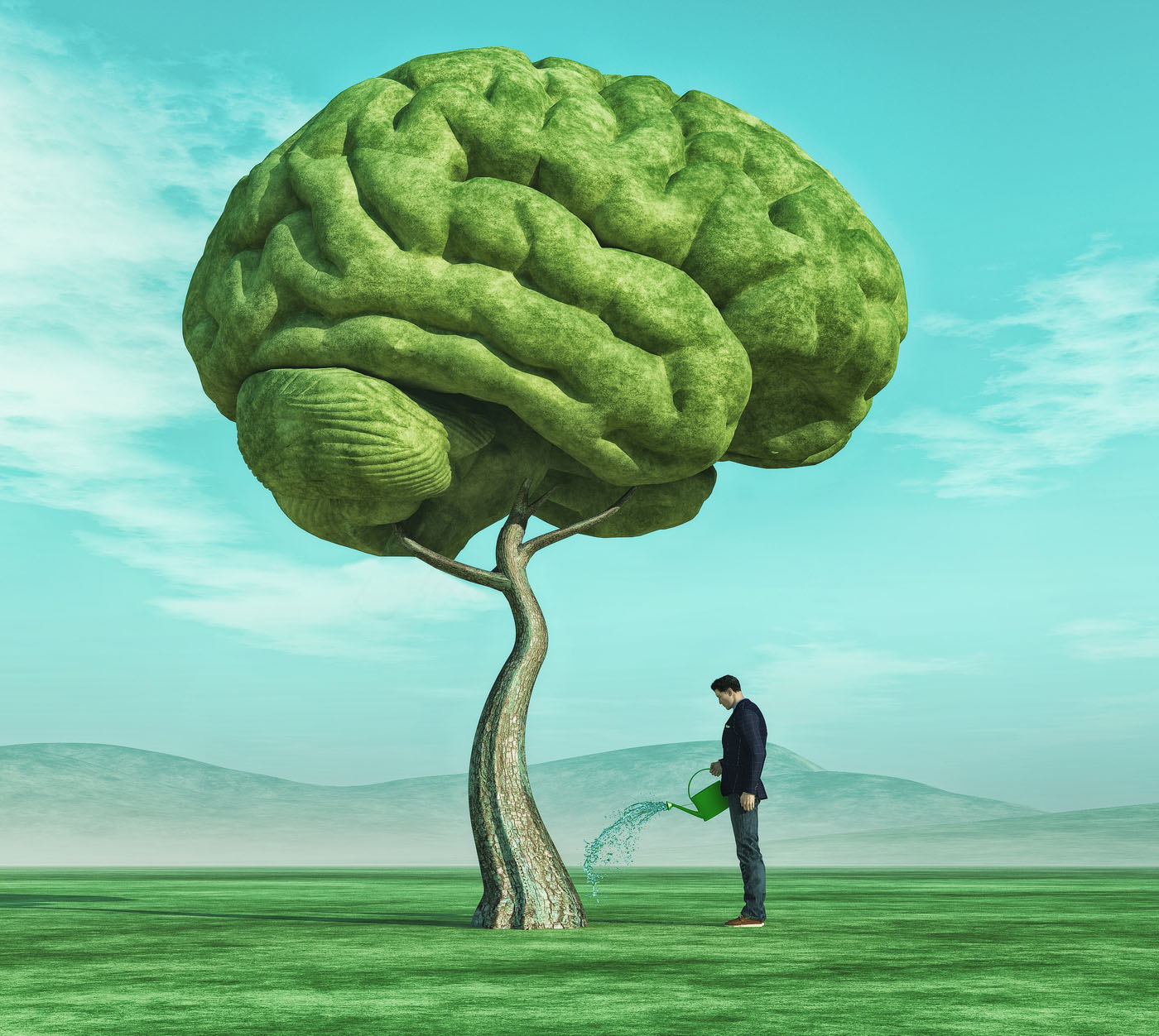 Natürliche Vitalstoffe fördern die Leistungsfähigkeit des Gehirns